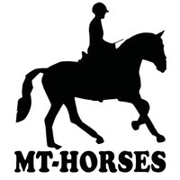 MT-Horses
